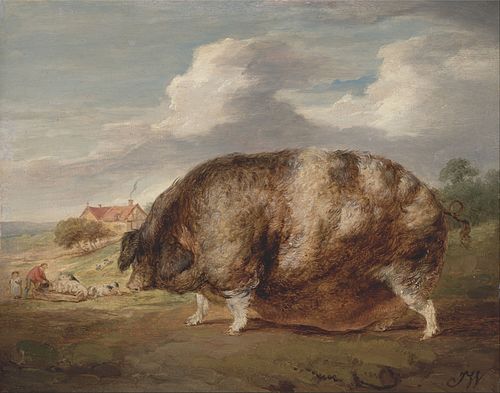 Gloucestershire Old Spot, 1800, James Ward