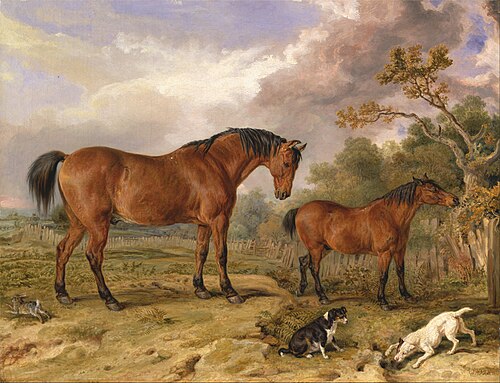Portrait of Reformer, Blucher, Tory and Crib, the Property of Rowland Alston, Esq., M.P., 1835, James Ward