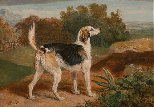 Ravager, One of the Lambton Hound, 1835, James Ward