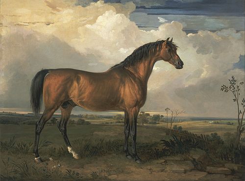 Eagle, a Celebrated Stallion, 1809, James Ward