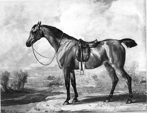 Bay Hunter, 1817, James Ward