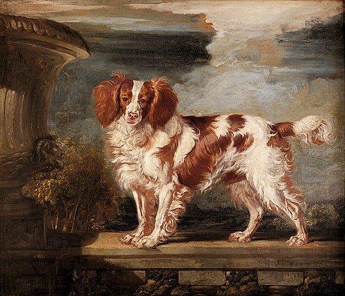 Portrait of Dash, a Favourite Spaniel, the Property of Lady Frances Vane-Tempest, 1819, James Ward
