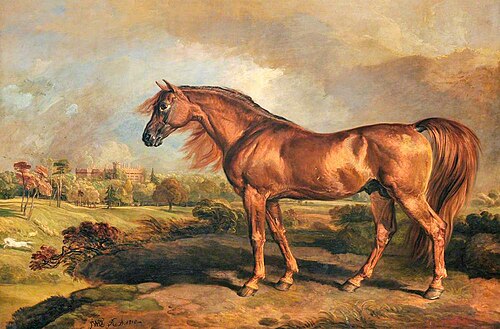 A Chestnut Stallion in the Grounds of Powis Castle, 1818, James Ward
