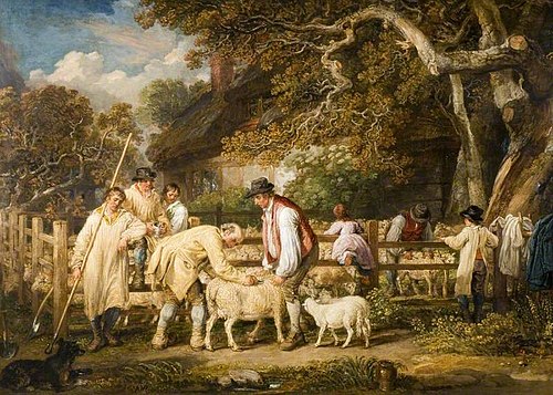 Sheep Salving, 1828, James Ward