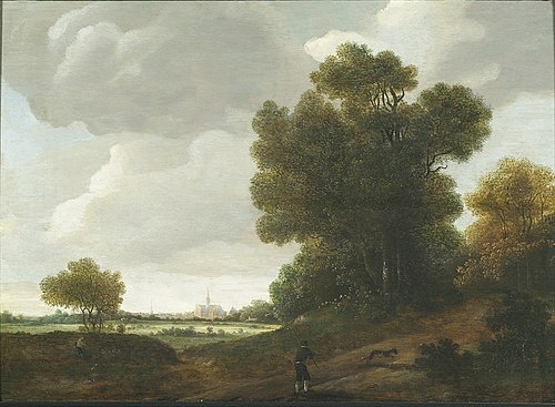 Landscape with Haarlem in the background, 1644, Jan Wils