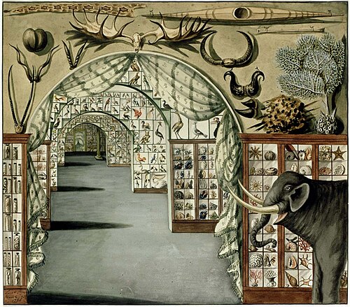 Sir Ashton Lever’s private museum, Leicester Square, London, 1785, watercolor by Sarah Stone, 1785, Sarah Stone