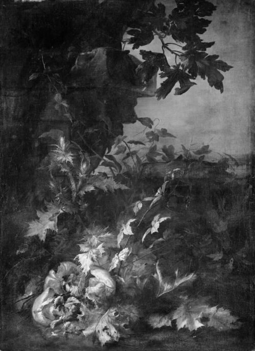 Thistles and Toadstools, 1705, Jean Baptiste Gayot Dubuisson