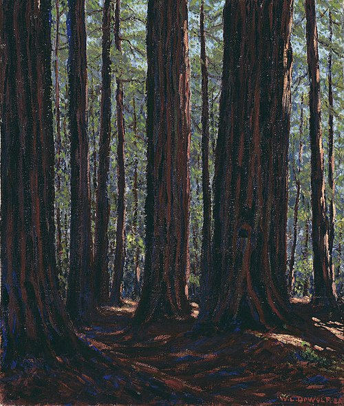 Among the Redwoods, 1920, Wallace L. De Wolf