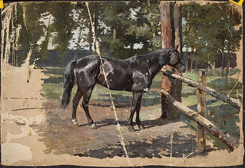 Black horse, , Jean Lulvès