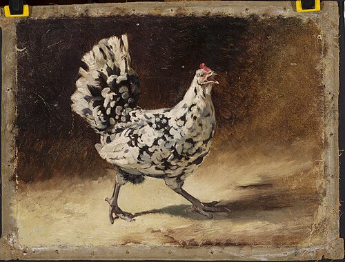 Une poule., 1850, Jean Lulvès