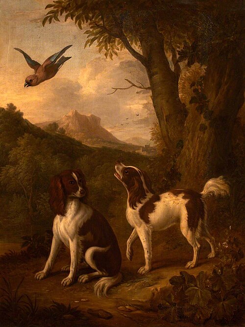 Deux épagneuls et un geai dans un paysage, 1714, Jan van der Vaart