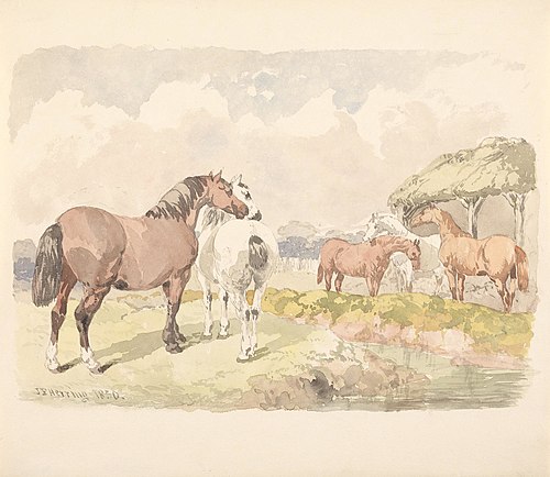 Five Horses near a Brook, 1850, John Frederick Herring, Sr.