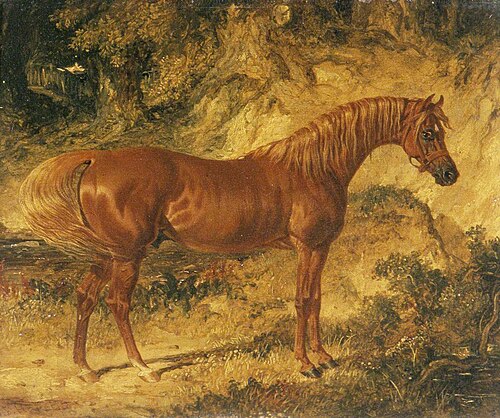 The Racehorse 'Actaeon', 1830, John Frederick Herring, Sr.