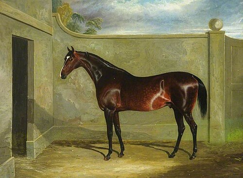 'Filho da puta', 1828, John Frederick Herring, Sr.
