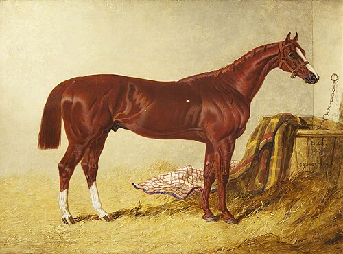 'Elis', Winner of the St Leger Stakes, 1836, in a Loose Box, 1836, John Frederick Herring, Sr.