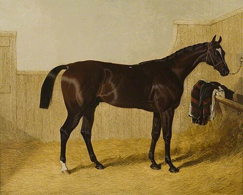 'Touchstone', 1836, John Frederick Herring, Sr.