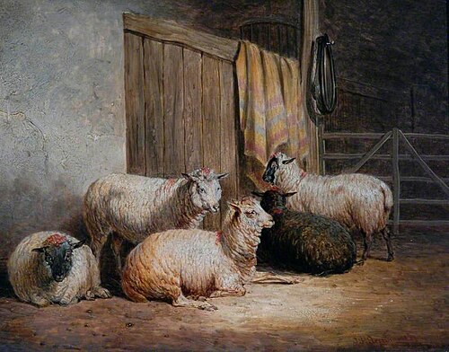 Sheep, 1837, John Frederick Herring, Sr.
