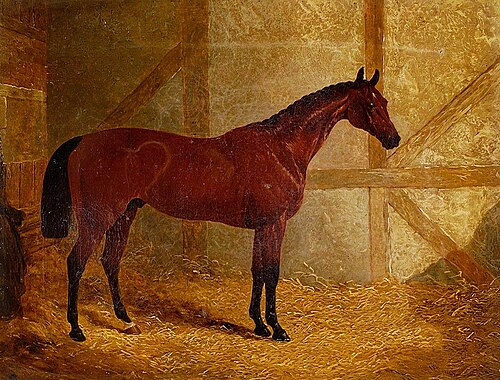 Cotherstone, Winner of Derby, 1843, John Frederick Herring, Sr.
