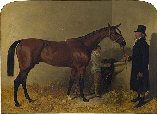 A Bay Racehorse in a Loosebox, 1845, John Frederick Herring, Sr.
