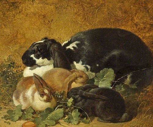 Rabbits, 1852, John Frederick Herring, Sr.