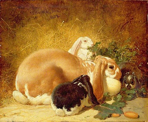 Belgian Hares, 1852, John Frederick Herring, Sr.