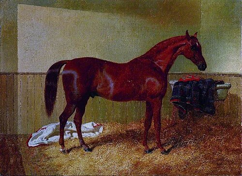 Chestnut Horse in a Stable, 1852, John Frederick Herring, Sr.