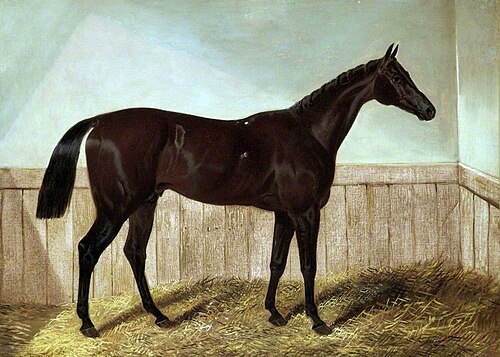 'Charles XII', 1855, John Frederick Herring, Sr.