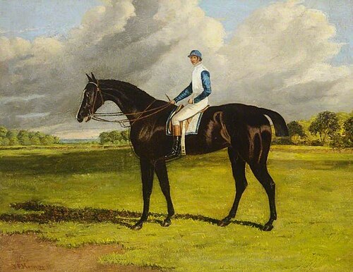 'Filho da puta', , John Frederick Herring, Sr.