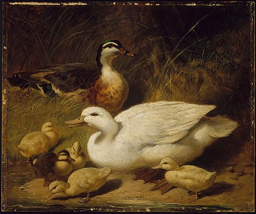 Ducks and Ducklings, 1850, John Frederick Herring, Sr.