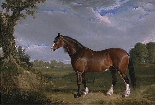 A Clydesdale Stallion, 1820, John Frederick Herring, Sr.