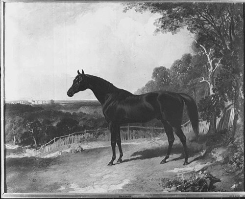 Bagdad, 1846, John Frederick Herring, Sr.