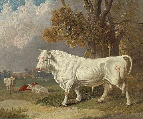 White Bull, Fulbourn, Cambridgeshire, 1830, 1830, John Frederick Herring, Sr.