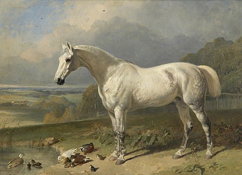 A Grey Horse and Ducks in a Landscape, 1846, John Frederick Herring, Sr.