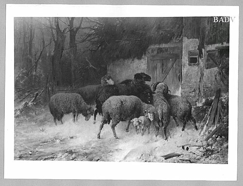 Sheep waiting in front of the stable, 1885, Friedrich Otto Gebler