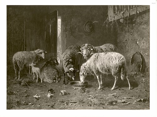 Stallinneres mit Schafen, 1885, Friedrich Otto Gebler