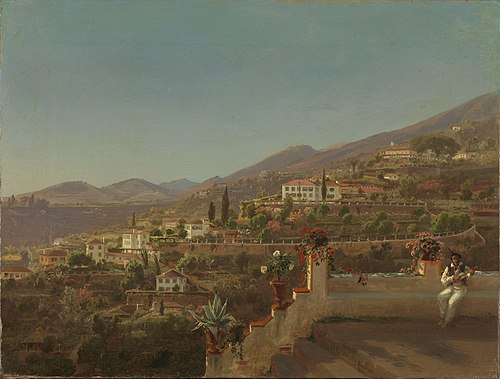 View of Funchal, Madeira, 1854, Johan Fredrik Eckersberg