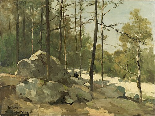 Vue forestière près de Barbizon, 1900, Johan Hendrik Weissenbruch