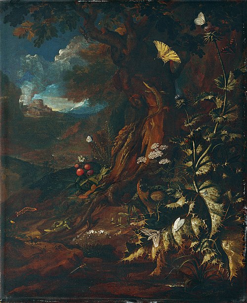 Forest landscape with reptiles and insects (1), 1735, Johann Adalbert Angermayer