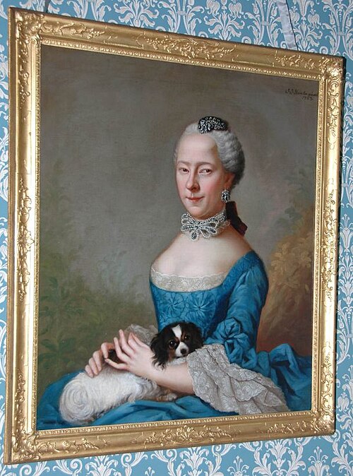 Portrait of Sara Elizabeth Blaaukamer, 1763, Johann Ernst Heinsius