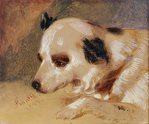 Hundekopf, , Matthias Ranftl