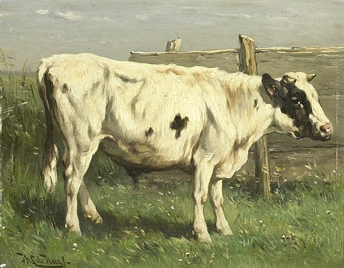 Jeune Taureau, 1881, Johannes Hubertus Leonardus de
