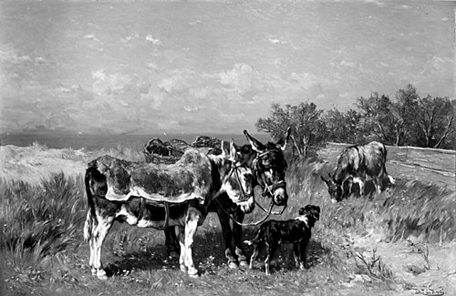 Donkeys in a Meadow, 1877, Johannes Hubertus Leonardus de