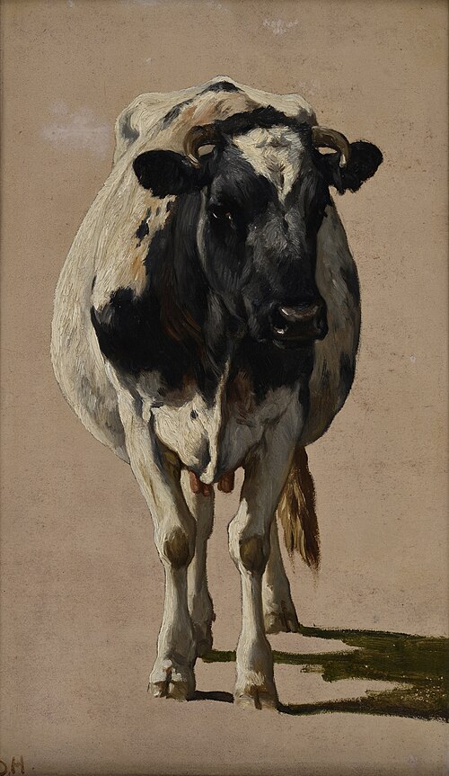 Studie van een koe, , Johannes Hubertus Leonardus de