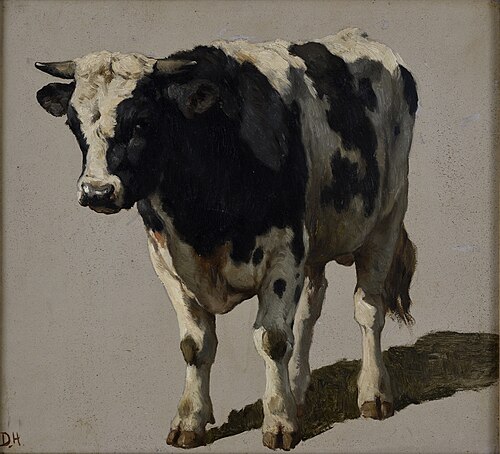 Studie van een stier, , Johannes Hubertus Leonardus de