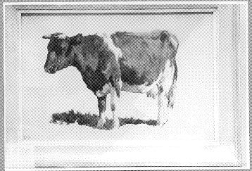 Studie van een koe, 1850, Johannes Hubertus Leonardus de