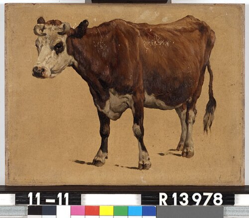 Studie van een roodbonte koe, 1877, Johannes Hubertus Leonardus de