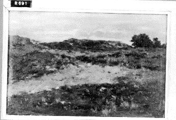 Duinlandschap, 1850, Johannes Hubertus Leonardus de