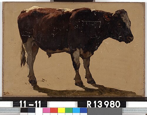 Studie van een stier, 1877, Johannes Hubertus Leonardus de