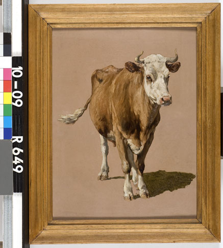 Studie van een koe, 1850, Johannes Hubertus Leonardus de