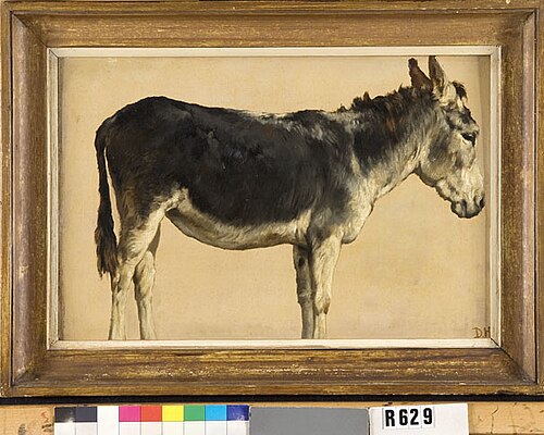 Studie van een ezel, 1850, Johannes Hubertus Leonardus de